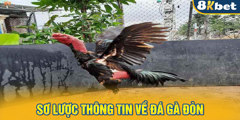 Sơ lược thông tin về đá gà đòn