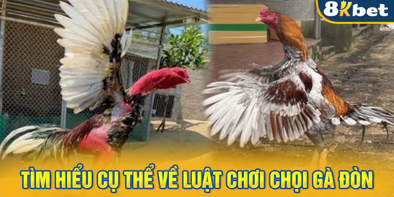 Tìm hiểu cụ thể về luật chơi chọi gà đòn